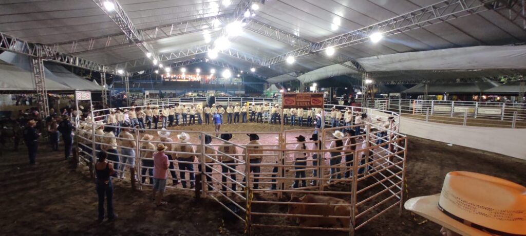 Leilão IHS Horse Show movimenta a 54ª Exposição Agropecuária de Itapetinga com genética de elite e grandes negócios 6 038837df 2685 4981 a564 62f1b43fc4a7 - Portal Sudoeste em Foco