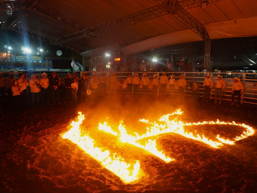 Leilão IHS Horse Show movimenta a 54ª Exposição Agropecuária de Itapetinga com genética de elite e grandes negócios 21 6984e42c 4136 4640 9aad a7da54b784a1 - Portal Sudoeste em Foco