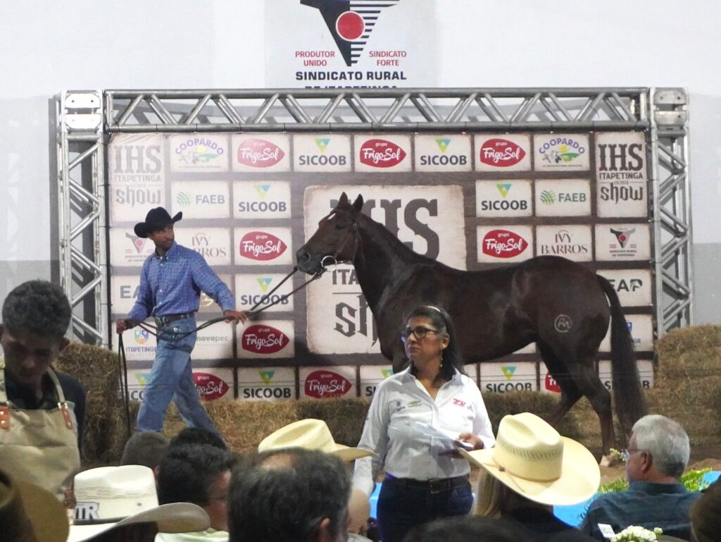 Leilão IHS Horse Show movimenta a 54ª Exposição Agropecuária de Itapetinga com genética de elite e grandes negócios 9 8f1bdbcb 8b76 41b0 a802 8cdf67fe092c - Portal Sudoeste em Foco