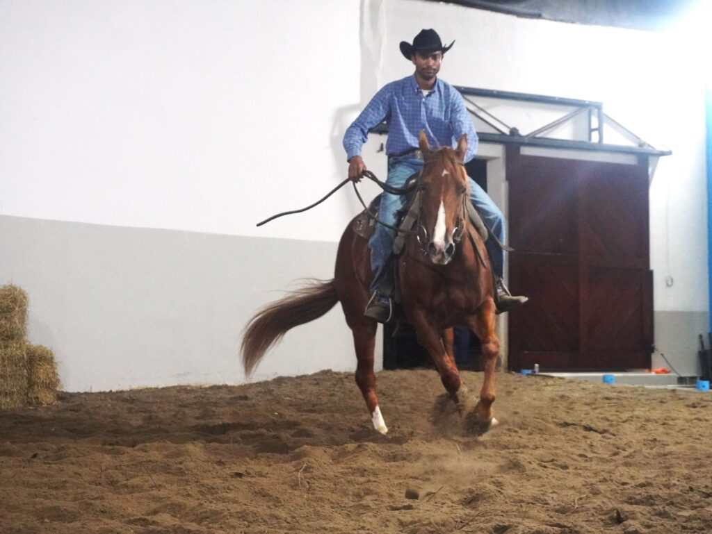 Leilão IHS Horse Show movimenta a 54ª Exposição Agropecuária de Itapetinga com genética de elite e grandes negócios 10 af20e734 101d 4262 b833 201f9cc6767d - Portal Sudoeste em Foco