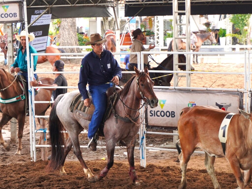 Leilão IHS Horse Show movimenta a 54ª Exposição Agropecuária de Itapetinga com genética de elite e grandes negócios 19 b6550de5 3516 4c6a ad28 cf03343a9791 - Portal Sudoeste em Foco