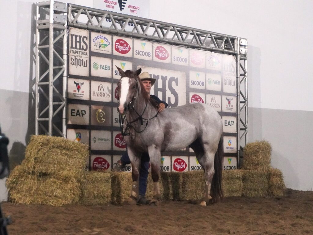 Leilão IHS Horse Show movimenta a 54ª Exposição Agropecuária de Itapetinga com genética de elite e grandes negócios 15 ddf07d48 464a 4c3d 99a8 229843ce7942 - Portal Sudoeste em Foco