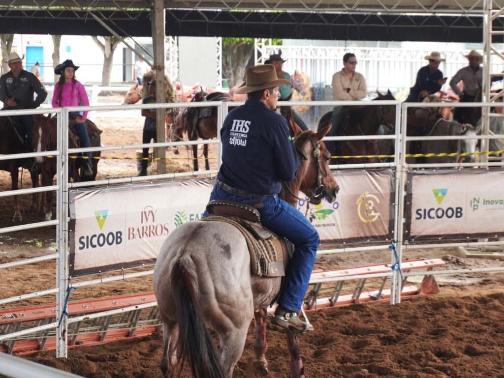 Leilão IHS Horse Show movimenta a 54ª Exposição Agropecuária de Itapetinga com genética de elite e grandes negócios 16 f9f4eb6f 2504 466d a4b9 0668a035d8ca - Portal Sudoeste em Foco