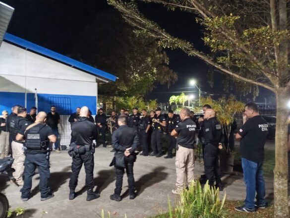 Operação prende 11 suspeitos de furtos de gado no Extremo Sul da Bahia